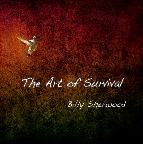 The Art Of Survival